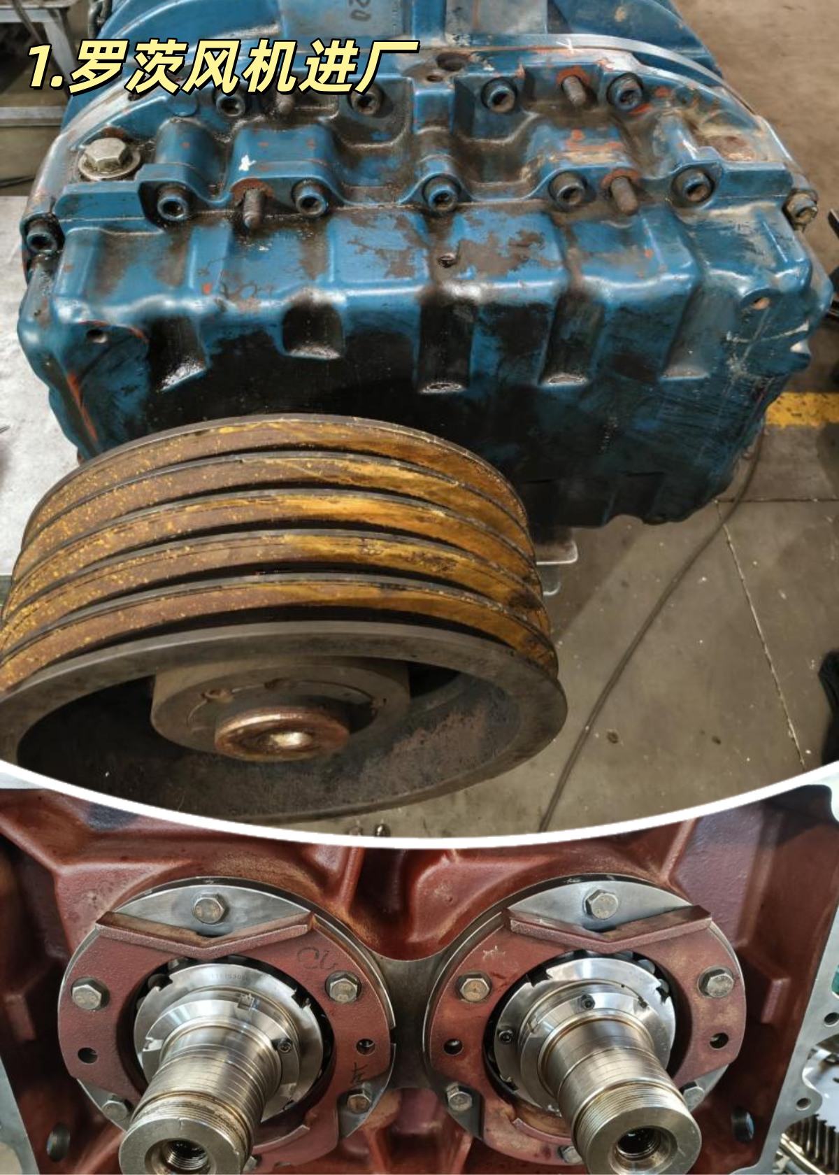 广东某发电厂 艾珍 GM150S 罗茨风机 维修案例