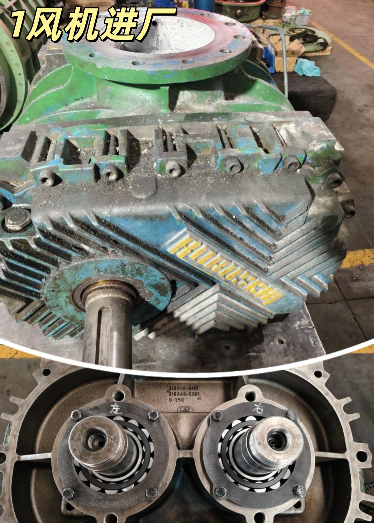 中国石化某化纤厂 鲁布斯奇RBS135罗茨风机 维修案例