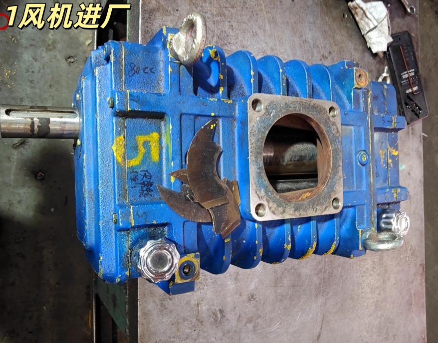 河北某公司 凯撒43B 蒸汽压缩机维修案例